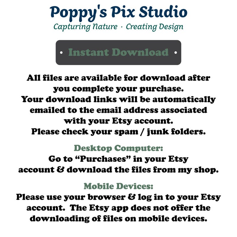 Missouri PNG | State Design with Motto | Transparent POD File | Illustration image 8