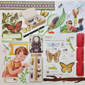 Der Käfer Sammler | Vintage Ephemera Sammlung | ab 25 Stück | Mischtechnik | Junk Journal | Restposten | Inspiration-Kit | Papier Kunsthandwerk