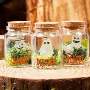 以下が含まれることがあります： コルクの蓋が付いた3つのガラス瓶。それぞれ光るゴーストのフィギュアと緑色の苔が入っています。「CLAUDE」、「DESTINY」、「HEATH」とラベル付けされています。ハロウィーンの装飾に最適です。