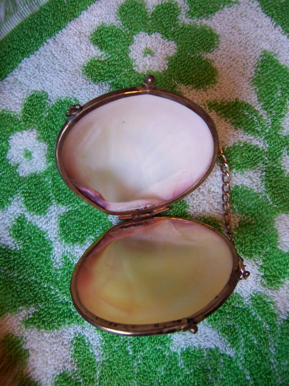 Natural Dyed Clam Seashell Coin Purse - Mia Jewel Shop - Beach