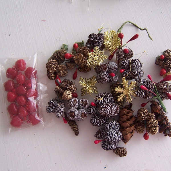 pine cones / miniature pine cone supply