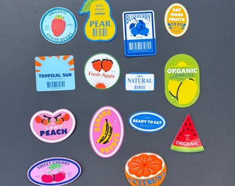 Mini Fruit Sticker Set | Scrapbook, Journal Stickers