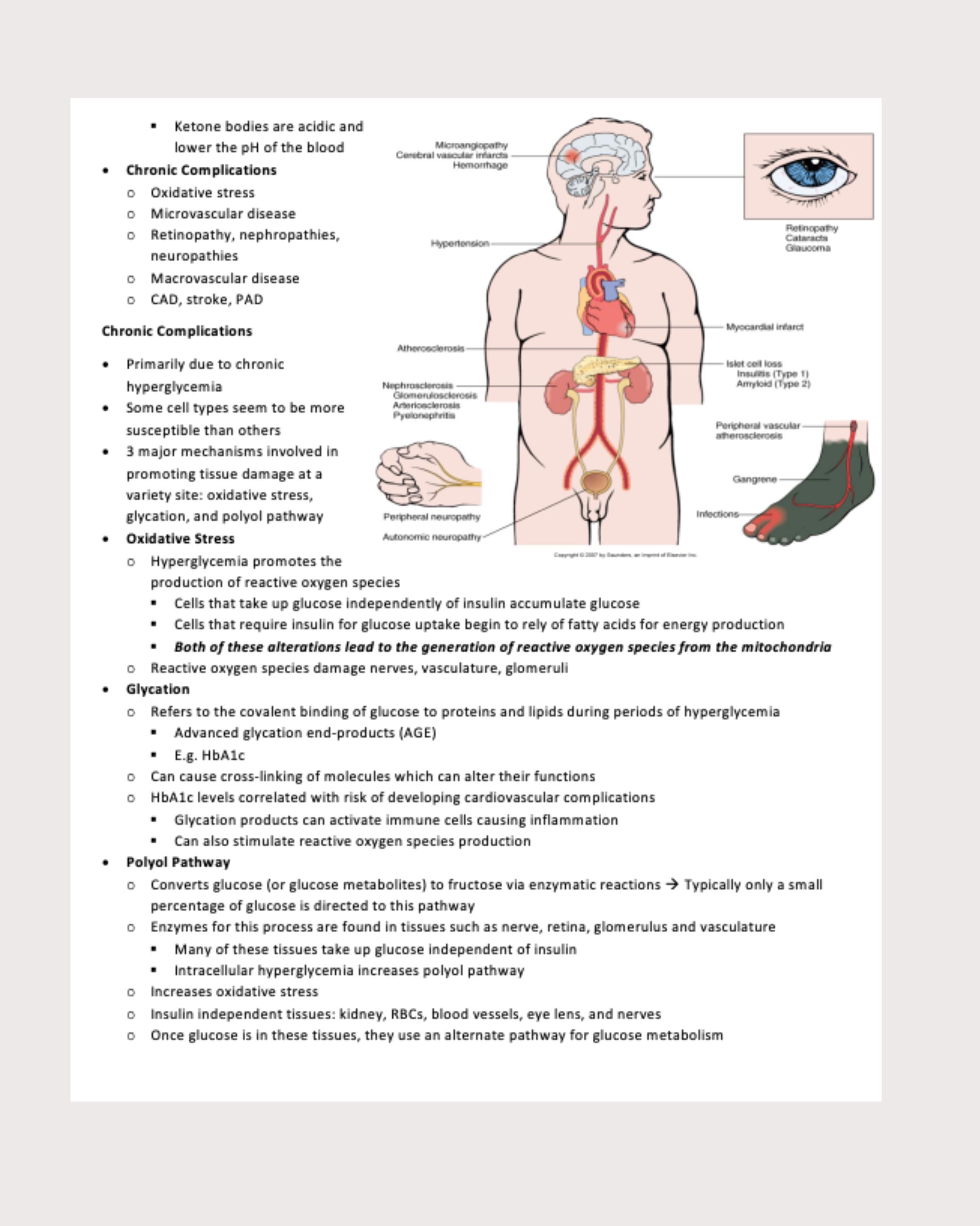 Pathophysio Notes Pathophysiology Notes for Nurse Practitioner (NP) Students - Etsy
