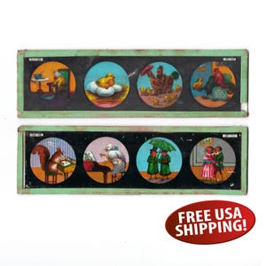 May include: Two antique magic lantern slides with eight circular illustrations. The illustrations depict scenes with animals, including a squirrel playing piano, a duck at a piano, and a hen with chicks. The slides have a green border.