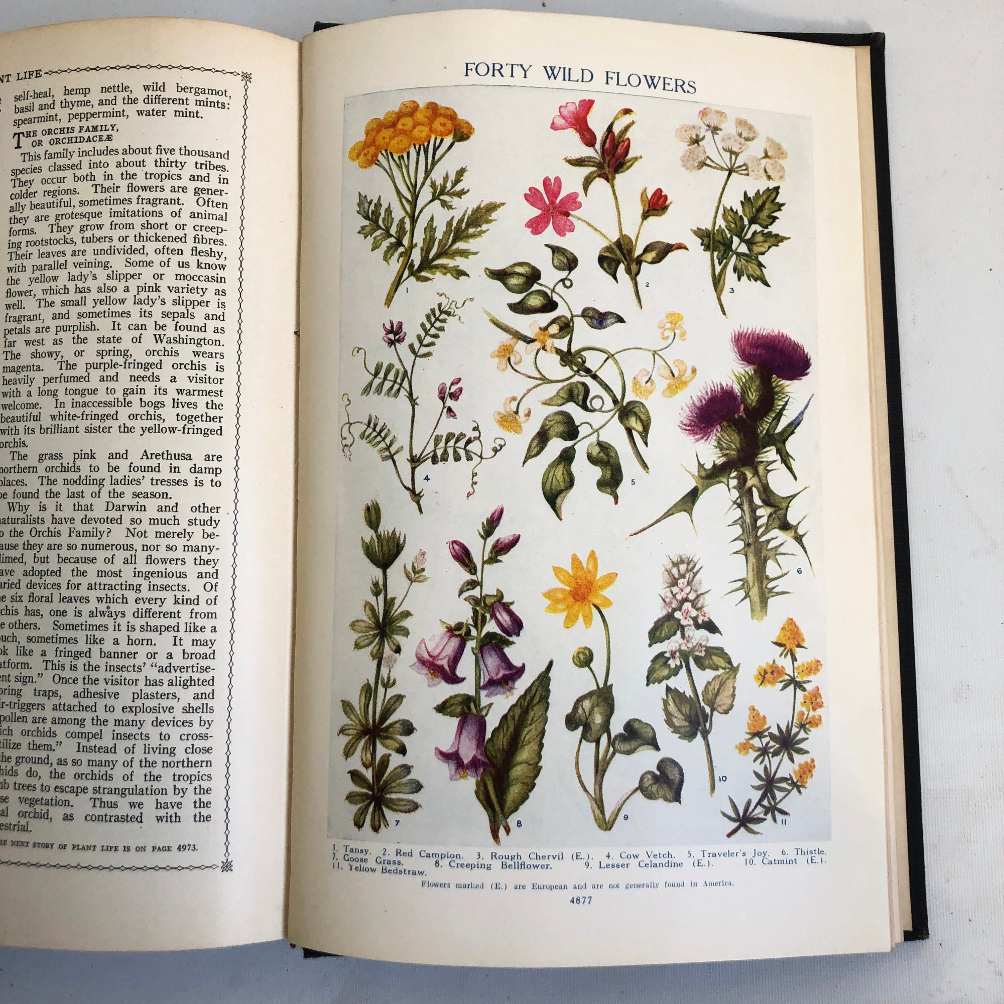 Grolier's 1928 Grolier's 1928