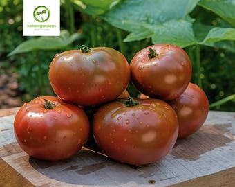 50 Chocolate Stripes Tomato Seeds, Non-GMO, Cold Hardy, Rare Heirloom Indeterminate Vegetable