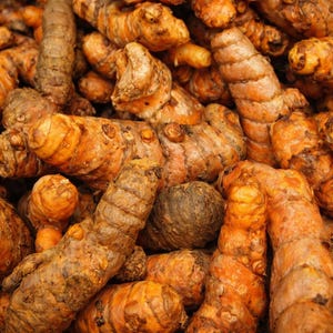 May include: A close-up shot of a pile of fresh turmeric roots. The roots are a vibrant orange-brown color, with a rough, textured surface. The image is well-lit, highlighting the natural shapes and textures of the turmeric.