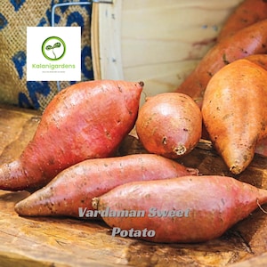 May include: A white ceramic mug with a black handle and the text "But First, Coffee" in a bold, black font. The mug is set against a blurred background, suggesting a cozy setting. The mug appears to be approximately 4 inches tall.