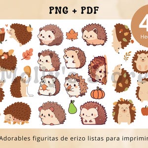 Pacote com 45 adesivos de ouriço prontos para imprimir e decorar / Pacote com 45 adesivos de ouriço prontos para imprimir e decorar / PNG + PDF