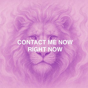 Puede incluir: Ilustración digital de la cara de un león en tonos morados. La melena del león está detallada, con el texto "CONTÁCTAME AHORA AHORA MISMO" en blanco. El fondo es un degradado de rosa y morado.