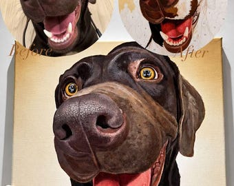 Custom Pet Portrait Paint by Numbers Kit, Personalized Dog Cat Canvas, DIY Wall Art
