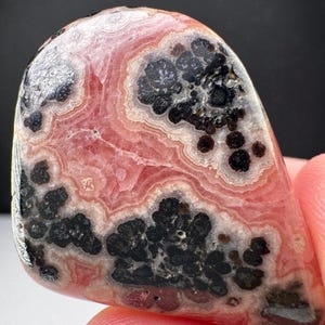 May include: A polished rhodochrosite gemstone featuring a smooth, rounded triangular shape with concentric bands of soft pink and white, accented by dark, irregular black mineral inclusions scattered across the surface.