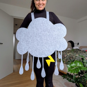 Costume da nuvola e pioggia in feltro: travestimento fatto a mano per bambini/adulti