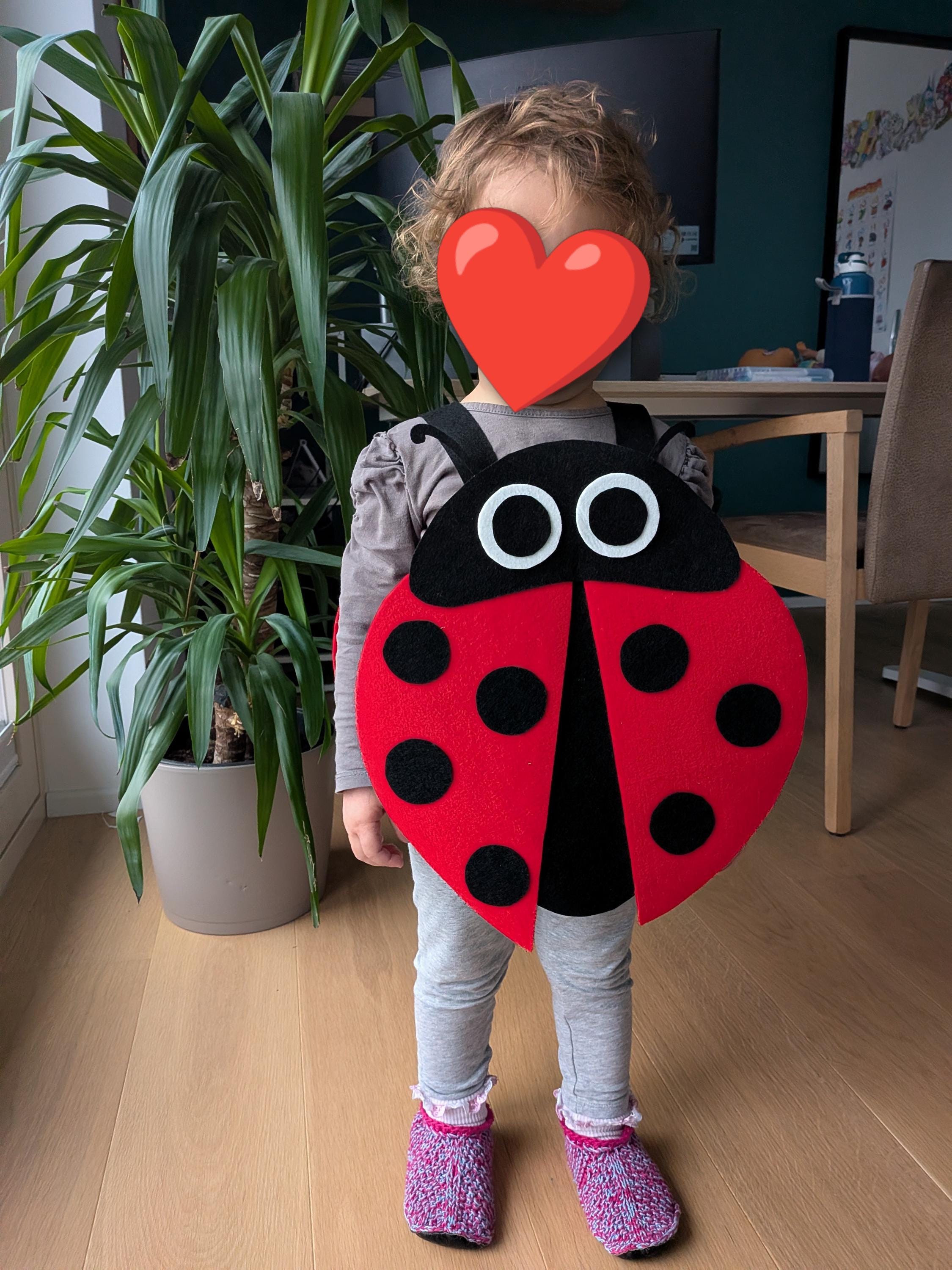 Une carte en forme de coccinelle - Carte coccinelle pour la fête des mères Une carte en forme de coccinelle - Carte coccinelle pour la fête des mères
