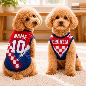 Two adorable poodle dogs wearing red, white, and blue Croatia jerseys sit on a carpeted floor.