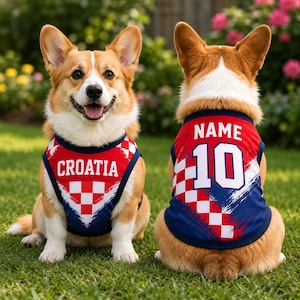 Two happy corgi dogs wearing red and blue jerseys with the word "Croatia" and the number 10, sitting on a grassy lawn.
