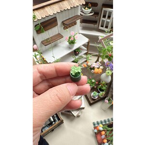 May include: Miniature potted plant with green leaves held in a hand, in front of a miniature flower shop. The shop has a white exterior, brown shelves, and a scalloped roof. Other miniature plants and flowers are visible.
