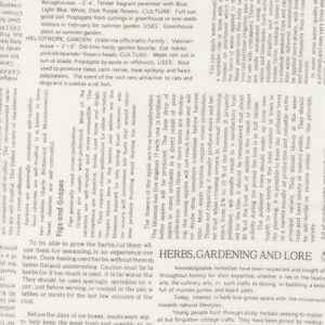 May include: Text from a vintage gardening book page. The page features sections on herbs, gardening, and lore, with detailed information on plant care, including propagation and uses. The text is in a serif font.