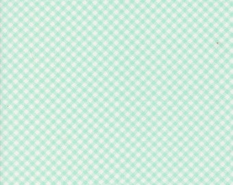 Jelly and Jam Fabric by Fig Tree Quilts for Moda - Aqua Small Gingham Fabric