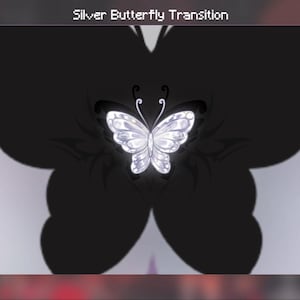 Op de afbeelding: Een digitale afbeelding met een gedetailleerde zilveren vlinder in het midden met complexe vleugelpatronen, geplaatst tegen een grote, effen zwarte vlindersilhouet. De tekst 'Silver Butterfly Transition' staat in het wit bovenaan in het midden.