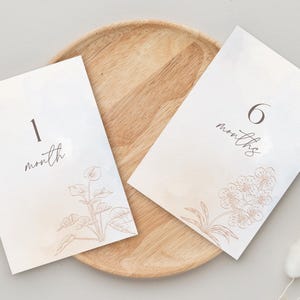 Cartes d'étape vintage pour bébé - Ensemble botanique mensuel neutre - Accessoires photo mensuels pour bébé - Suivi de la croissance de bébé imprimable - Cadeau pour nouveau-né