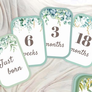 Cartes jalons verdure bricolage bébé - Jeu de découpes imprimables pour des semaines et des mois | Lettre A5/A4/US | Téléchargement numérique non sexiste - 35 cartes