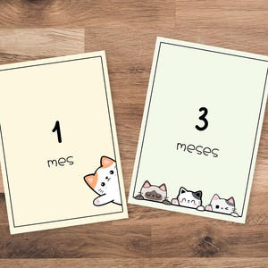 Tarjetas de hitos bebé gatitos – 12 mesi imprimibles adorabili A5 / A4 / 8 x 10 pollici / Lettera USA / Mezza lettera USA