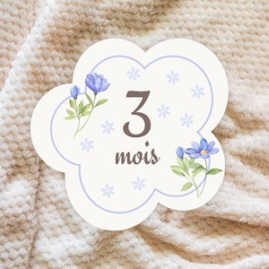 Cartes Étapes Bébé à Découper - Imprimable Fleuri pour la Première Année de Bébé, formaten A5/US Letter, accessoire foto uniek