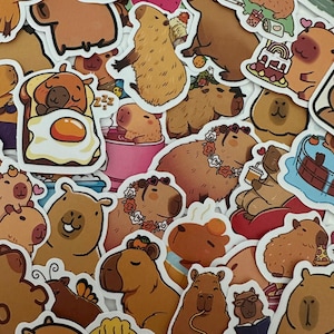 Capybara Sticker Pack of 10/15/20/25/50 – Chill | Cute | Animal | Aesthetic Stickers – Perfect for Journals, Water Bottles, Laptops & More