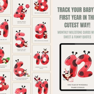 Cartes jalons bébé coccinelle, cartes jalons mensuels, accessoires photo nouveau-né, cartes mois bébé, cadeau baby shower, ensemble imprimable modifiable