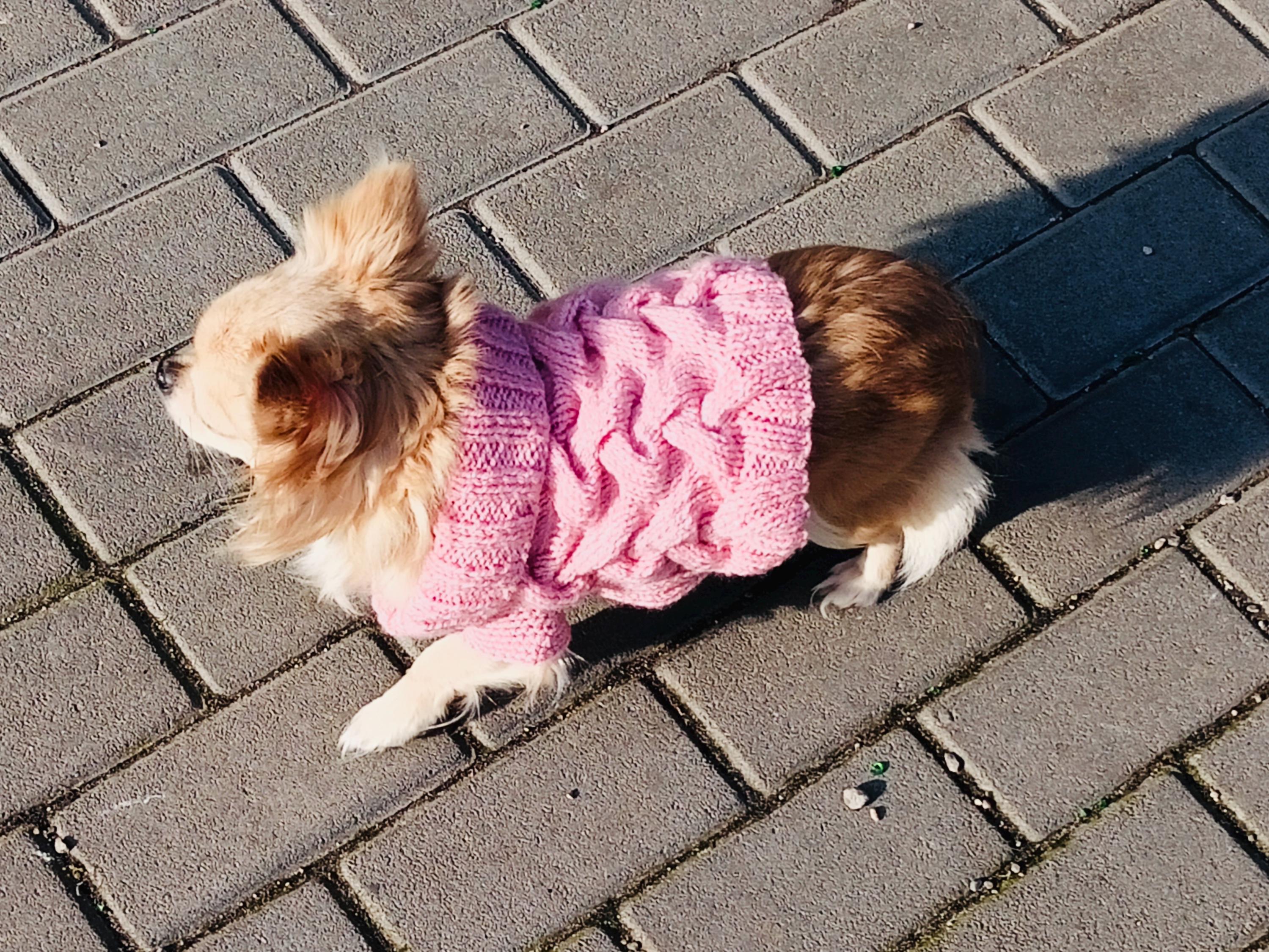 Hand-Knitted Dog Sweater for Small Breeds | Houndstooth Pattern | Warm Winter Pet Clothing for Chihuahua, Yorkie, Pomeranian
