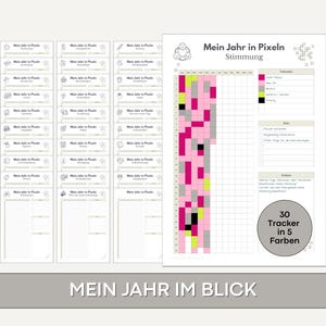 My Year in Pixels, undated, 30 Tracker Set, yearly Overview for Planner & Bullet Journal, PDF
