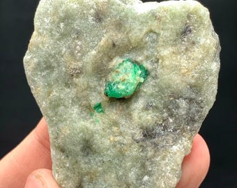 May include: A rough, irregularly shaped rock with a light green hue, featuring a vibrant, bright green emerald crystal embedded in its center. The stone has a textured surface with darker inclusions.