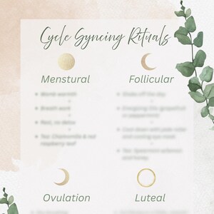Puede incluir: Una guía imprimible con el título "Cycle Syncing Rituals" y cuatro secciones: Menstrual, Folicular, Ovulación y Lúteo. Cada sección tiene un símbolo y una lista de viñetas.