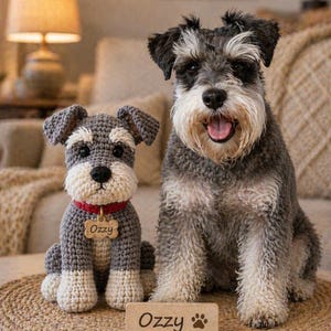 May include: A crocheted Schnauzer dog plush toy with grey and white yarn, wearing a red collar with a bone-shaped tag engraved with the name Ozzy. Beside it sits a real Schnauzer dog next to a wooden sign featuring the name Ozzy and a paw print.
