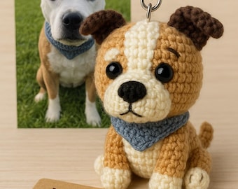 Llavero de perro de ganchillo personalizado: dije conmemorativo personalizado para mascotas