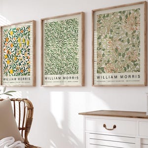 May include: Three framed William Morris art prints with botanical designs hang on a white wall. The prints feature floral and leaf patterns in shades of green, orange, and beige. A wicker chair with a beige pillow and white blanket sits in front of a white cabinet.