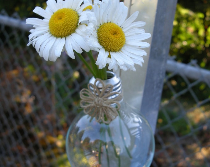 UPCYCLED Hanging Light Bulb Vase Great for Rooting Plant Etsy