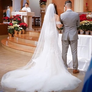 Elegant Bridal Veil: Sheer Tulle, Cathedral Length, Raw Edge
