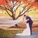 see more listings in the Wedding Veils section