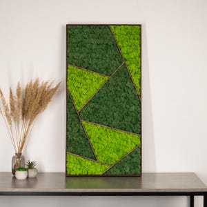Moss Wall Art, Large Moss Wall Decor with Wood Frame, Unique Preserved Moss Art, Wall Decor Made of Real Moss, New Home Gift