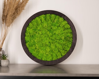 Moss Wall Art with LED, Preserved & Natural Dried Moss, Green Plant Wall Decor, Aesthetic Room and Office Decor, Live Moss Home Wall Art