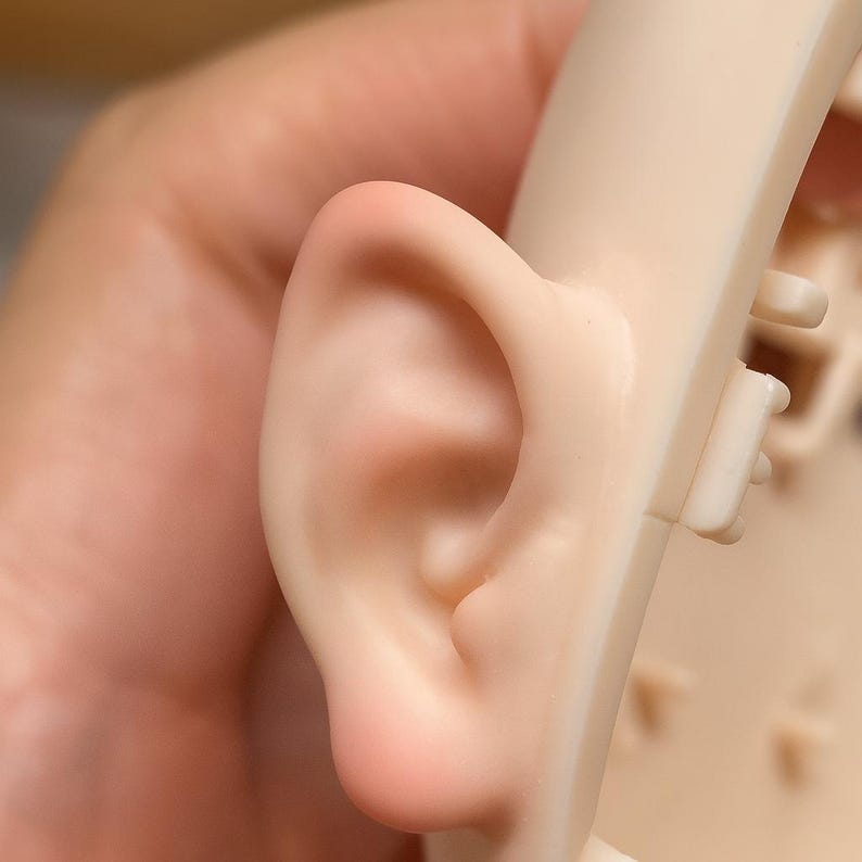 May include: Close-up of a pale pink ear, part of a doll or mannequin, with detailed anatomical features. The ear is smooth and realistic, with visible folds and curves. The background is a light beige color.