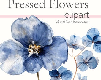 Dusty Blue Pressed Flowers PNG, Dried Flower Clipart, Herbarium Clipart, Botanical Book Clip Art, Watercolor Dry Flowers, Watercolour PNGs