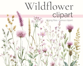 Watercolor Wildflower Clipart, Wild Flower PNG, Tiny Field Flowers, Pastel Flowered Borders, Meadow Bouquets, Floral Botanical Greenery