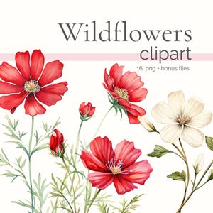 Rode wilde bloemen png, wilde bloemen clipart, botanische wilde bloem, bloemrijke bundel, witte bloemen png's, kleine bloemen illustraties, geperste bloemen