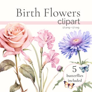 Birth Flower Clipart, Birth Month Flower PNG, Birthflower Clip Art, Birthmonth Flowers, Floral PNGs, Flowered Botanical Birthday Month SVG