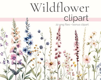 Watercolor Wildflower Clipart, Tall Wild Flower, Field Flowers Images, Meadow Floral, Tiny Wildflowers Arrangement, Flowered PNG Clip Art