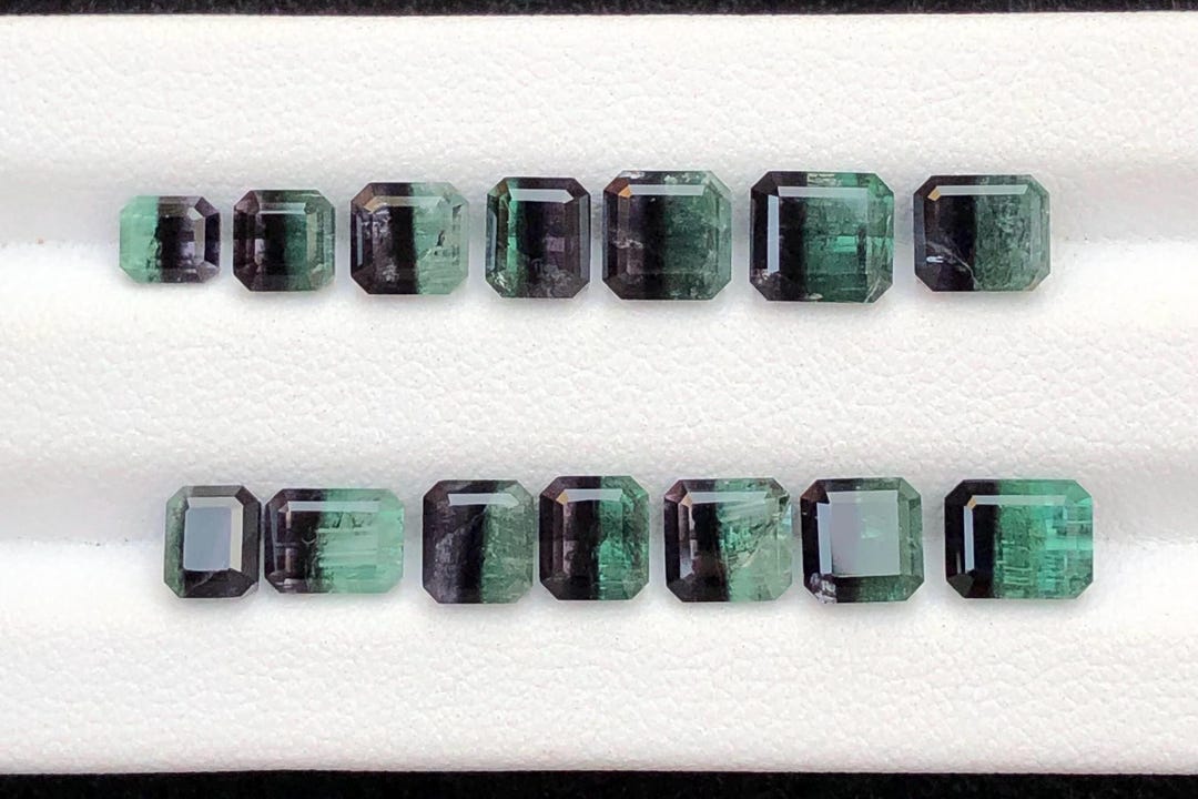 RARE Tourmaline Bicolore Naturelle – 14,05 Carats, Neuve