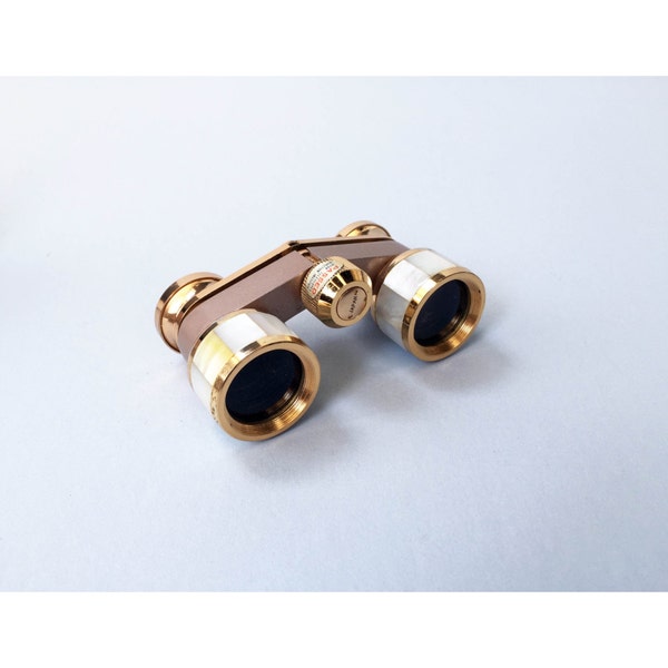 Vintage Mother of Pearl Opera Glasses / Binoculars / with Case